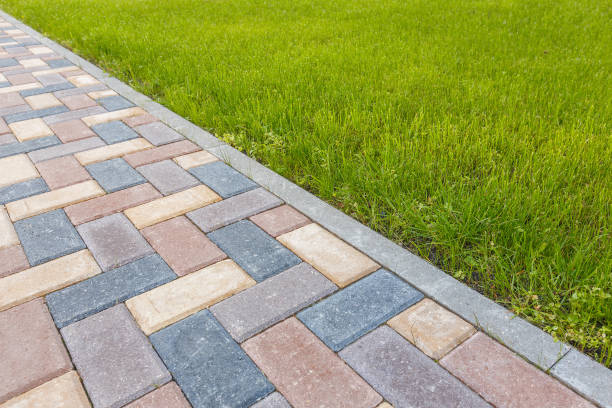Best Local Driveway Pavers  in Telluride, CO